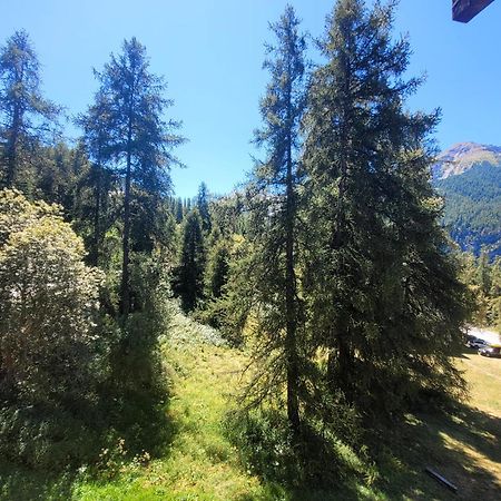Le Lodge Des Marmottes - Calme, Cosy, Vue Nature Les Orres Zewnętrze zdjęcie